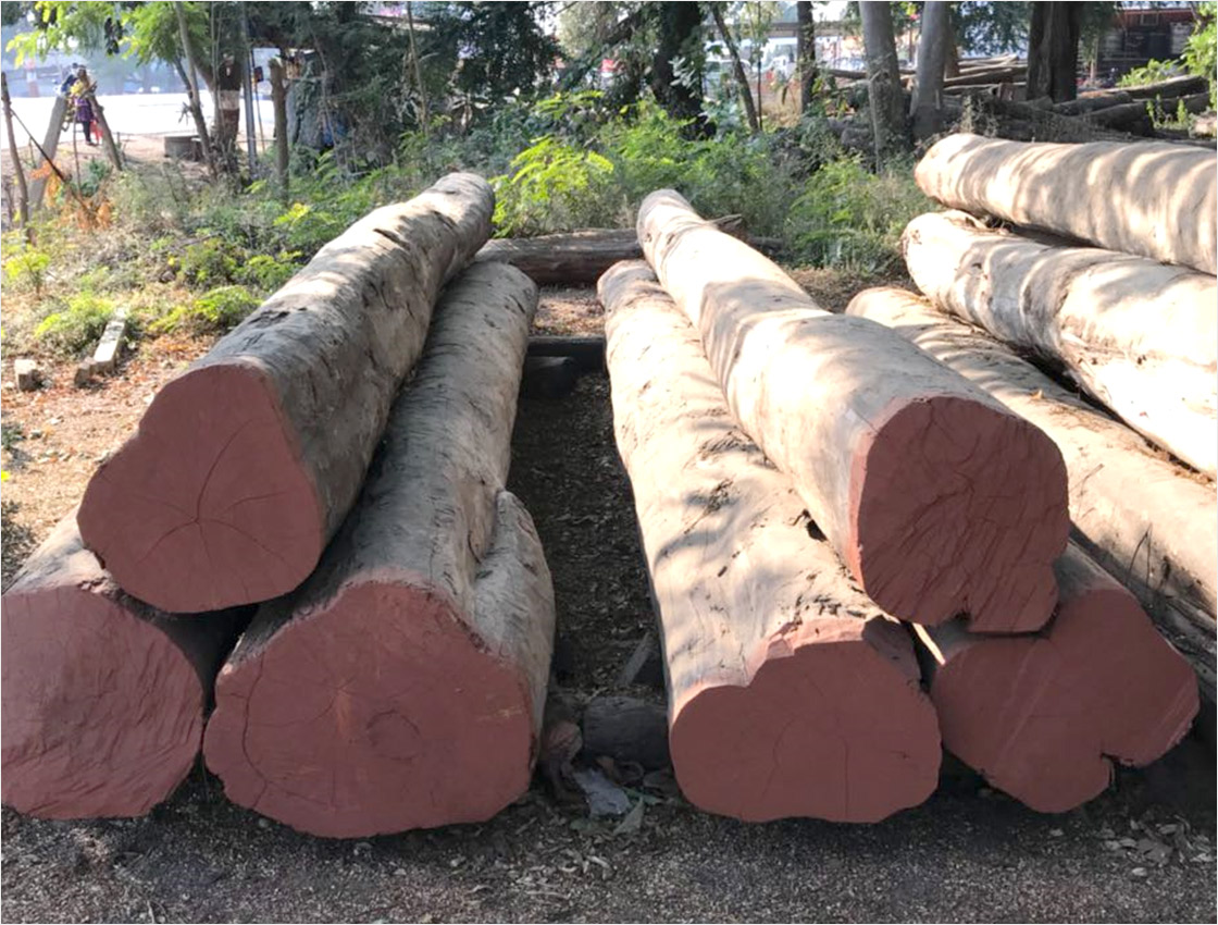 Burma Teak Wood in Kanchipuram