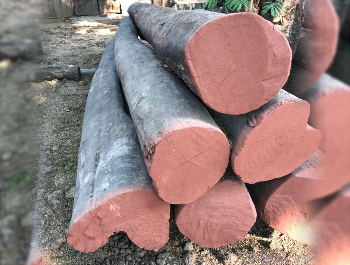 Burma Teak Wood in Kanchipuram