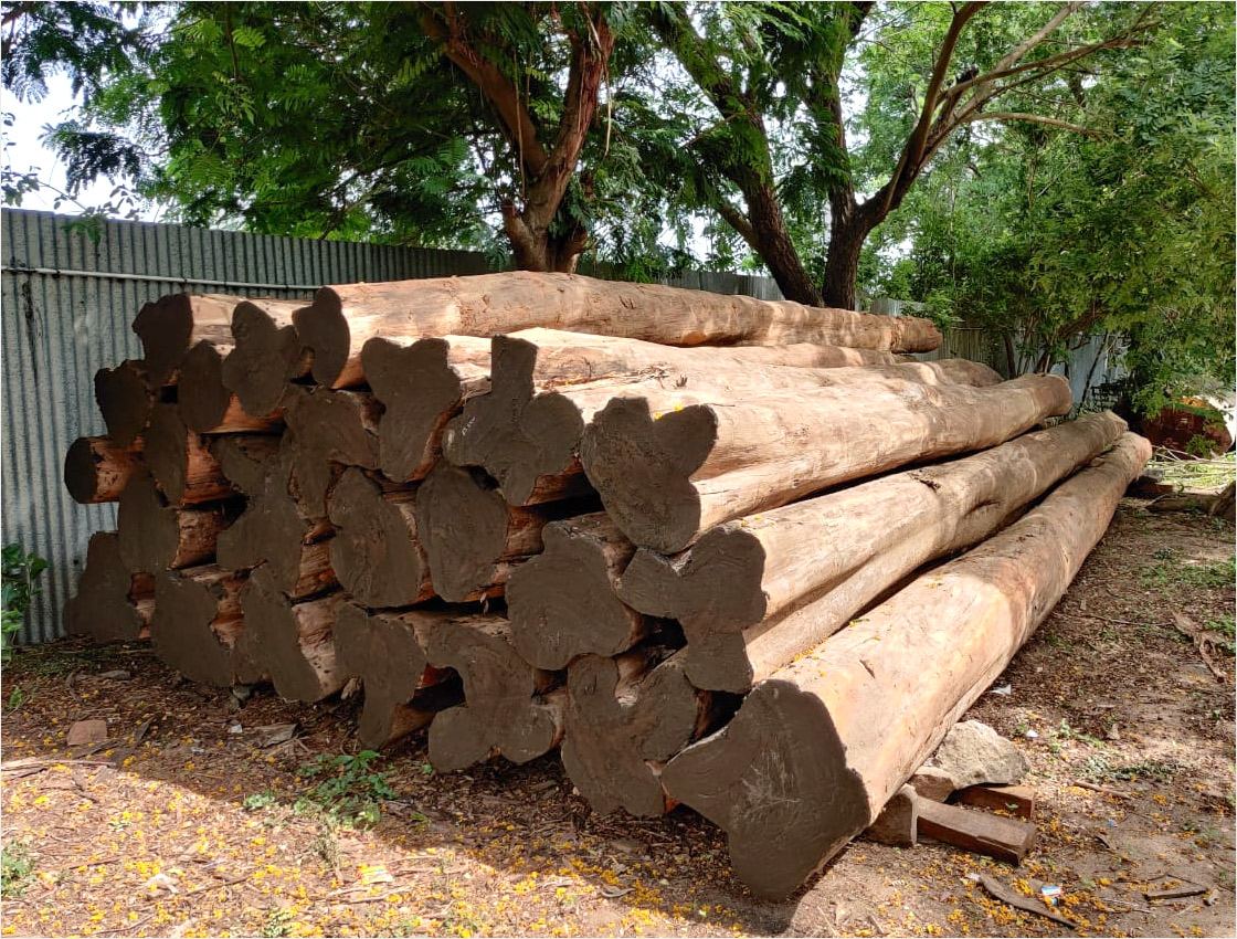 Burma Teak Wood in Kanchipuram
