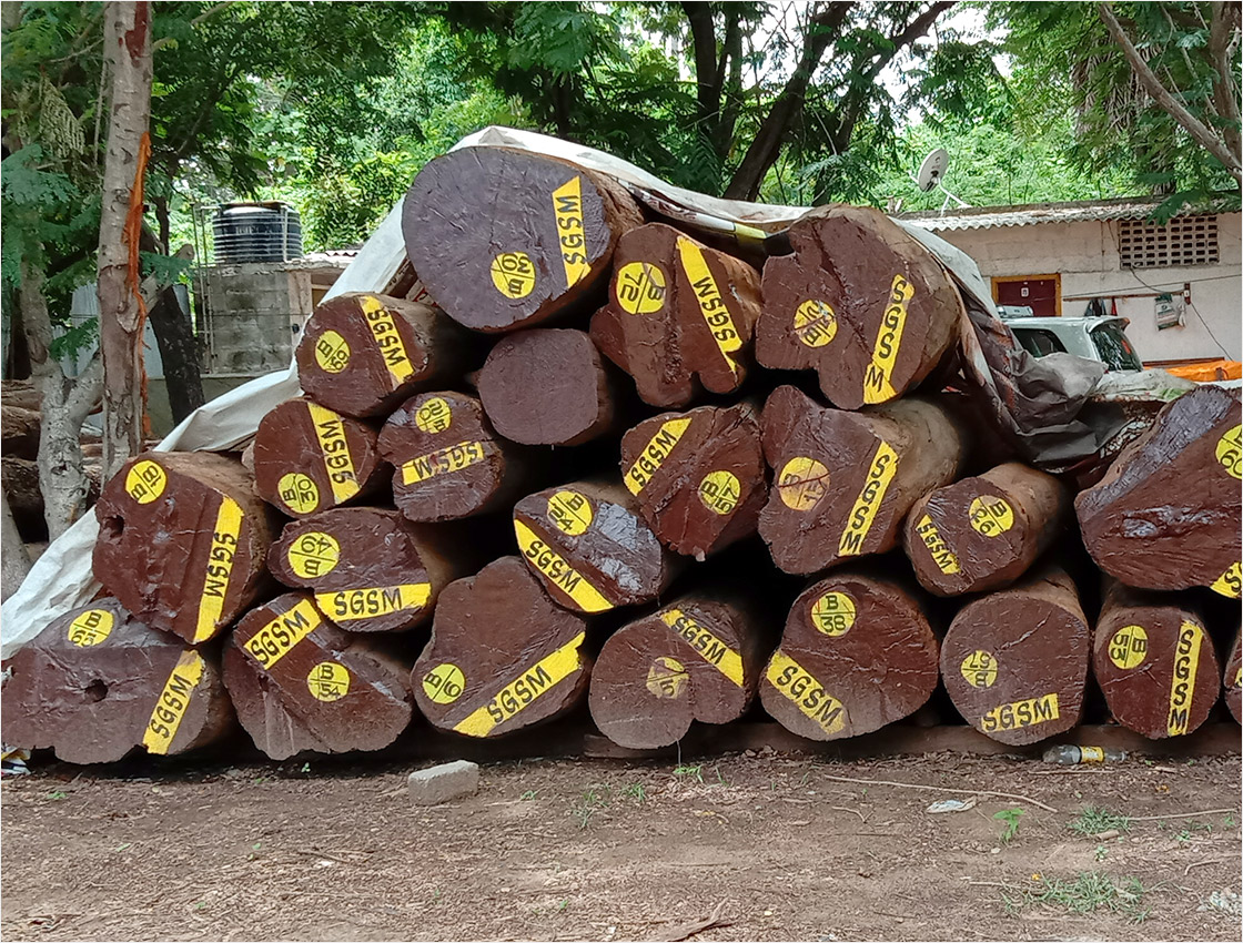 Burma Teak Wood in Kanchipuram