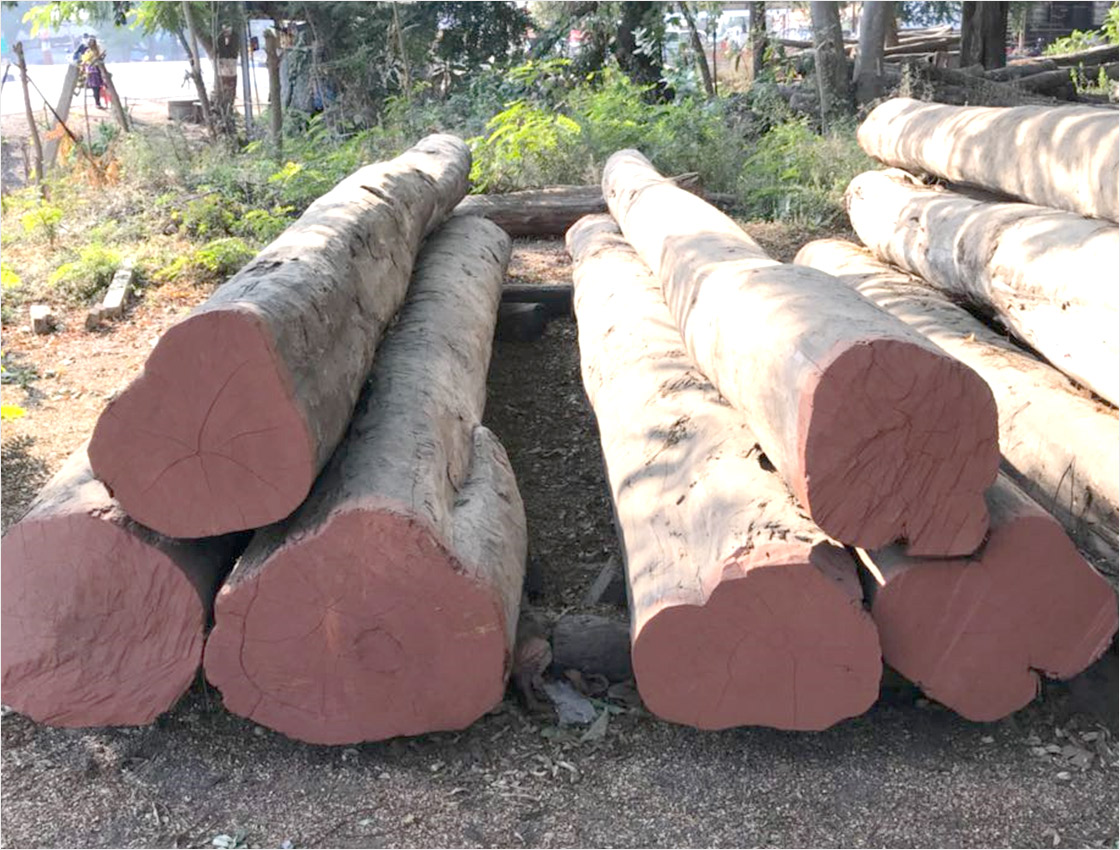 Teak Wood in Kanchipuram