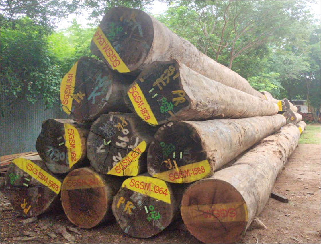 Teak Wood in Kanchipuram