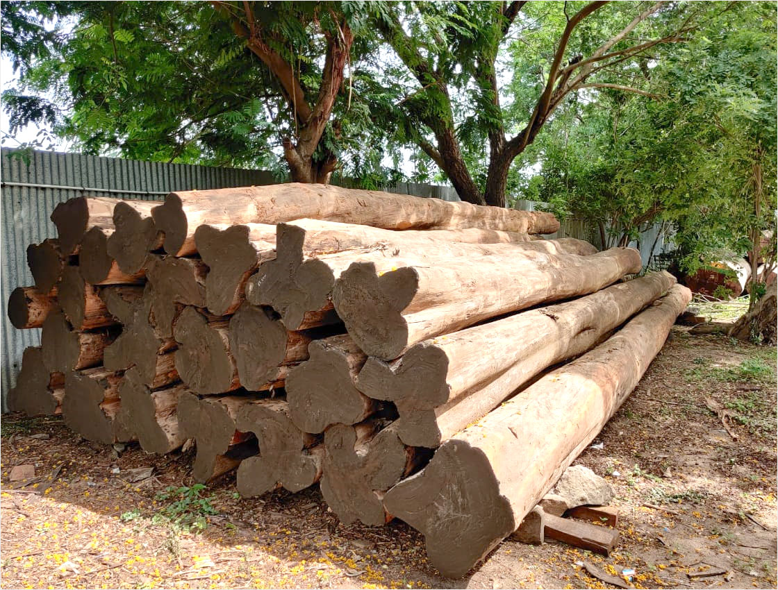 Wood in Kanchipuram