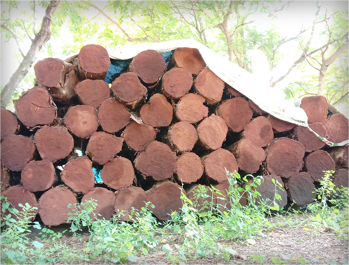 Wood in Kanchipuram