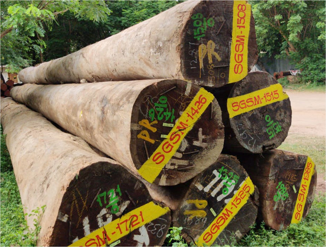 Wood in Kanchipuram
