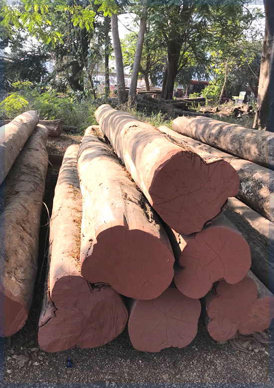 Burma Teak Wood in Kanchipuram