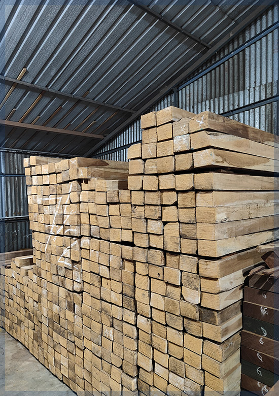 Teak Wood in Sunguvarchathiram