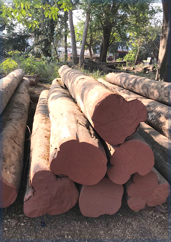 Wood in Kanchipuram